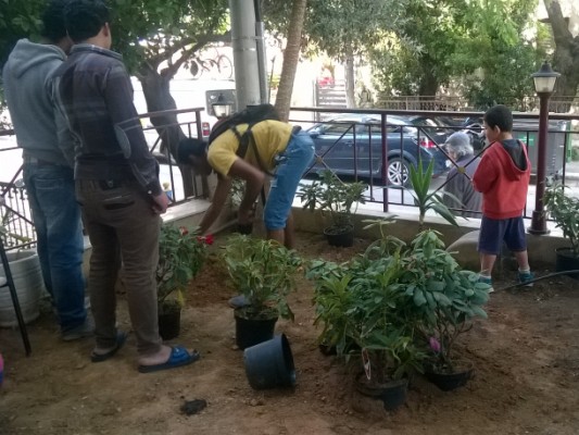 gardening